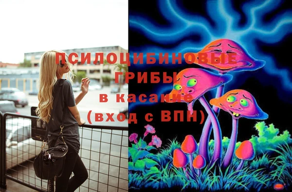 бошки Иннополис