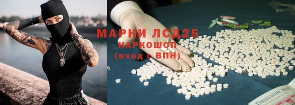 таблы Бородино