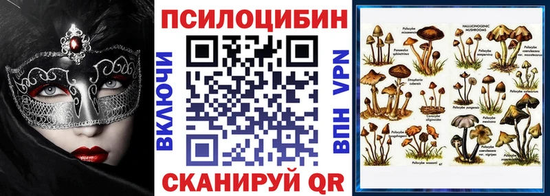 где можно купить   Горнозаводск  Галлюциногенные грибы GOLDEN TEACHER 